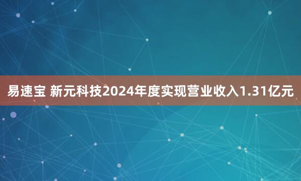 易速宝 新元科技2024年度实现营业收入1.31亿元