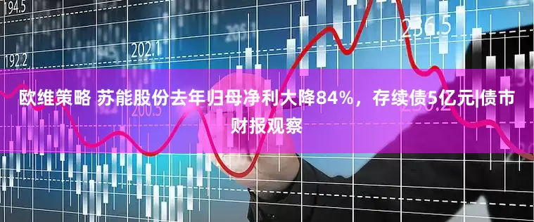 欧维策略 苏能股份去年归母净利大降84%，存续债5亿元|债市财报观察