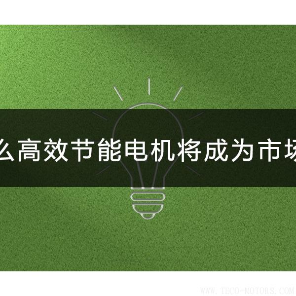 為什么高效節能電機將會成為市場主流