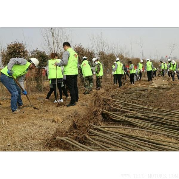 【造紙】建環保工廠 創森林城市 行業資訊 第2張