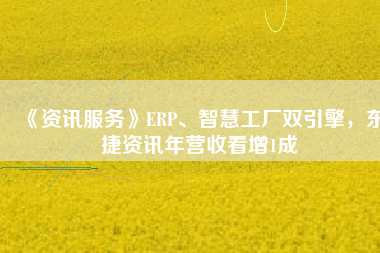 《資訊服務》ERP、智慧工廠雙引擎，東捷資訊年營收看增1成