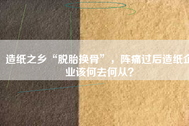 造紙之鄉“脫胎換骨”，陣痛過后造紙企業該何去何從？