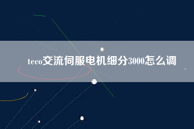 teco交流伺服電機細分3000怎么調