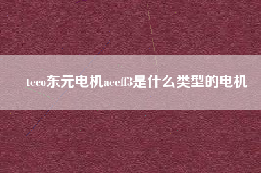 teco東元電機aeeff3是什么類型的電機