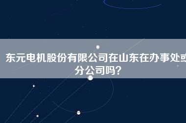 東元電機股份有限公司在山東在辦事處或分公司嗎？