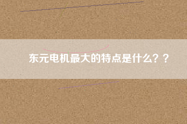 東元電機最大的特點是什么？？