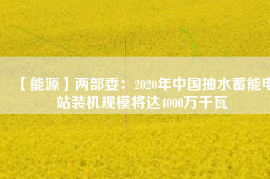 【能源】兩部委：2020年中國抽水蓄能電站裝機規模將達4000萬千瓦