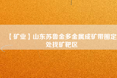 【礦業】山東蘇魯金多金屬成礦帶圈定6處找礦靶區