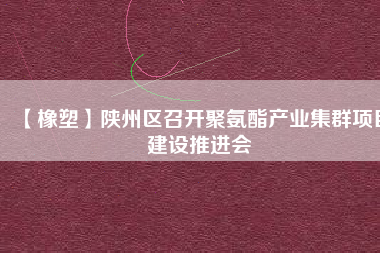 【橡塑】陜州區召開聚氨酯產業集群項目建設推進會