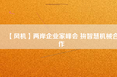 【風機】兩岸企業家峰會 拚智慧機械合作