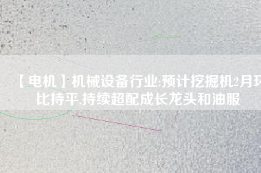 【電機】機械設備行業:預計挖掘機2月環比持平,持續超配成長龍頭和油服
          