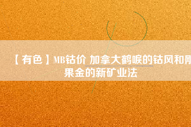 【有色】MB鈷價 加拿大鶴唳的鈷風和剛果金的新礦業法