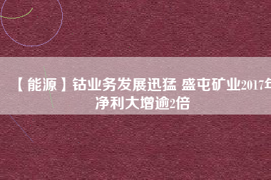 【能源】鈷業務發展迅猛 盛屯礦業2017年凈利大增逾2倍