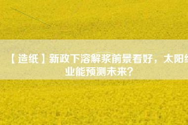 【造紙】新政下溶解漿前景看好，太陽紙業能預測未來？