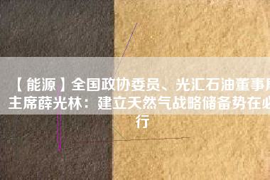 【能源】全國政協委員、光匯石油董事局主席薛光林：建立天然氣戰略儲備勢在必行