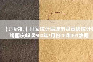 【壓縮機】國家統計局城市司高級統計師繩國慶解讀2018年2月份CPI和PPI數據