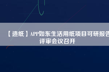 【造紙】APP如東生活用紙項目可研報告評審會議召開