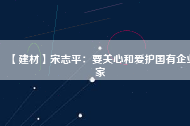 【建材】宋志平：要關心和愛護國有企業家