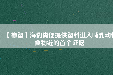 【橡塑】海豹糞便提供塑料進入哺乳動物食物鏈的首個證據