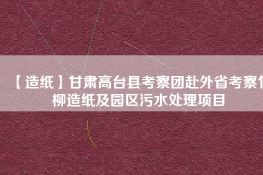 【造紙】甘肅高臺縣考察團赴外省考察竹柳造紙及園區污水處理項目