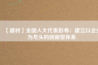 【建材】全國人大代表彭壽：建立以企業為龍頭的創新型體系