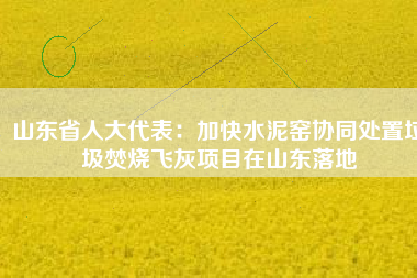 山東省人大代表：加快水泥窯協同處置垃圾焚燒飛灰項目在山東落地