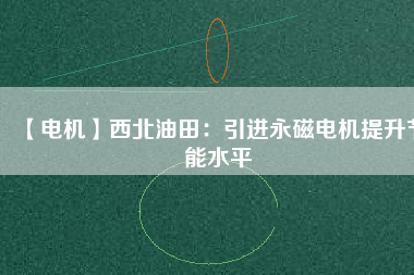 【電機】西北油田：引進永磁電機提升節能水平
          