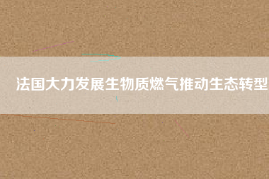 法國大力發展生物質燃氣推動生態轉型