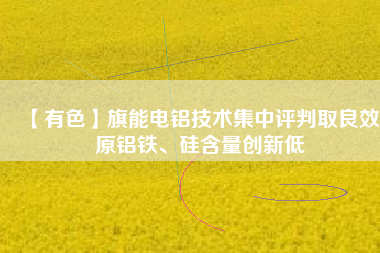 【有色】旗能電鋁技術集中評判取良效 原鋁鐵、硅含量創新低