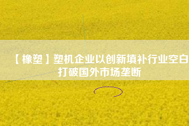 【橡塑】塑機企業以創新填補行業空白 打破國外市場壟斷