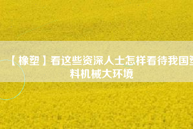 【橡塑】看這些資深人士怎樣看待我國塑料機械大環境