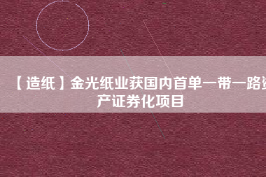 【造紙】金光紙業獲國內首單一帶一路資產證券化項目