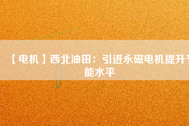 【電機】西北油田：引進永磁電機提升節能水平
          