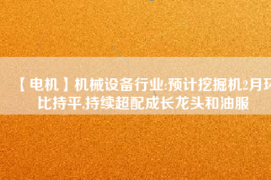 【電機】機械設備行業:預計挖掘機2月環比持平,持續超配成長龍頭和油服
          