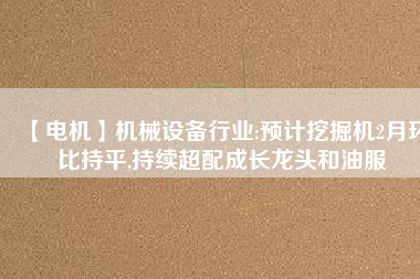 【電機】機械設備行業:預計挖掘機2月環比持平,持續超配成長龍頭和油服
          