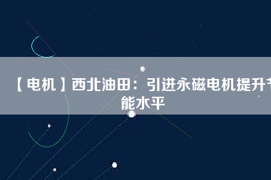 【電機】西北油田：引進永磁電機提升節能水平
          