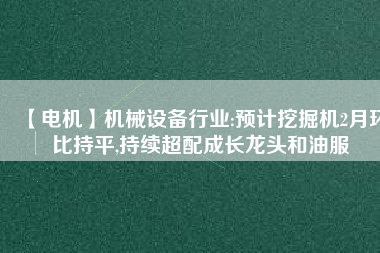 【電機】機械設備行業:預計挖掘機2月環比持平,持續超配成長龍頭和油服
          