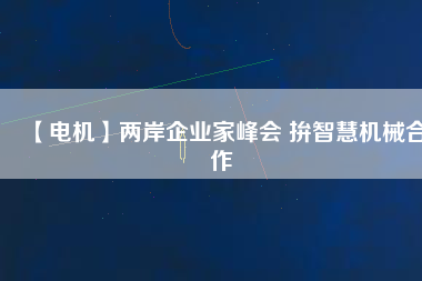 【電機】兩岸企業家峰會 拚智慧機械合作
          