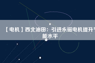 【電機】西北油田：引進永磁電機提升節能水平
          