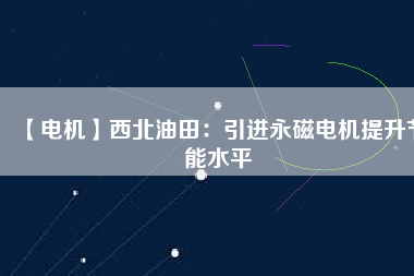 【電機】西北油田：引進永磁電機提升節能水平
          