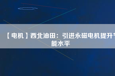 【電機】西北油田：引進永磁電機提升節能水平
          