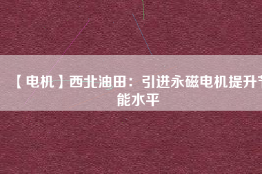 【電機】西北油田：引進永磁電機提升節能水平
          