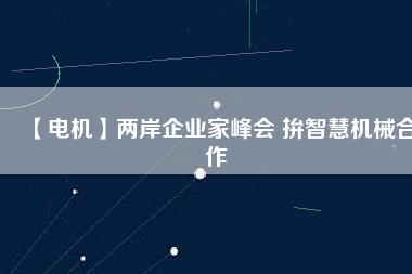 【電機】兩岸企業家峰會 拚智慧機械合作
          