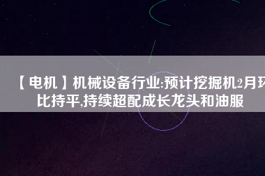 【電機】機械設備行業:預計挖掘機2月環比持平,持續超配成長龍頭和油服
          