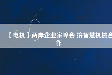 【電機】兩岸企業家峰會 拚智慧機械合作
          