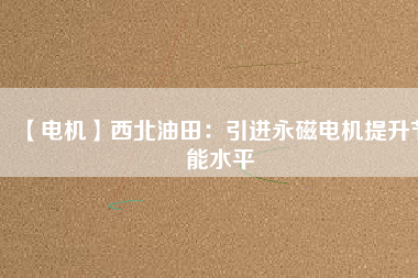 【電機】西北油田：引進永磁電機提升節能水平
          