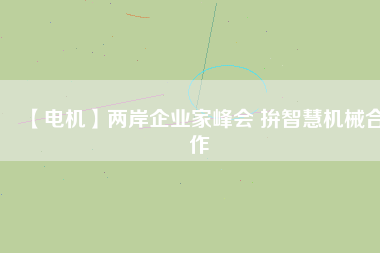 【電機】兩岸企業家峰會 拚智慧機械合作
          