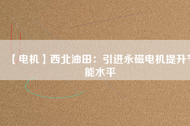 【電機】西北油田：引進永磁電機提升節能水平
          