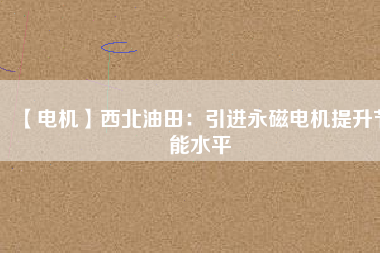 【電機】西北油田：引進永磁電機提升節能水平
          