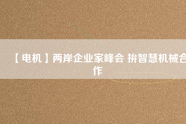 【電機】兩岸企業家峰會 拚智慧機械合作
          